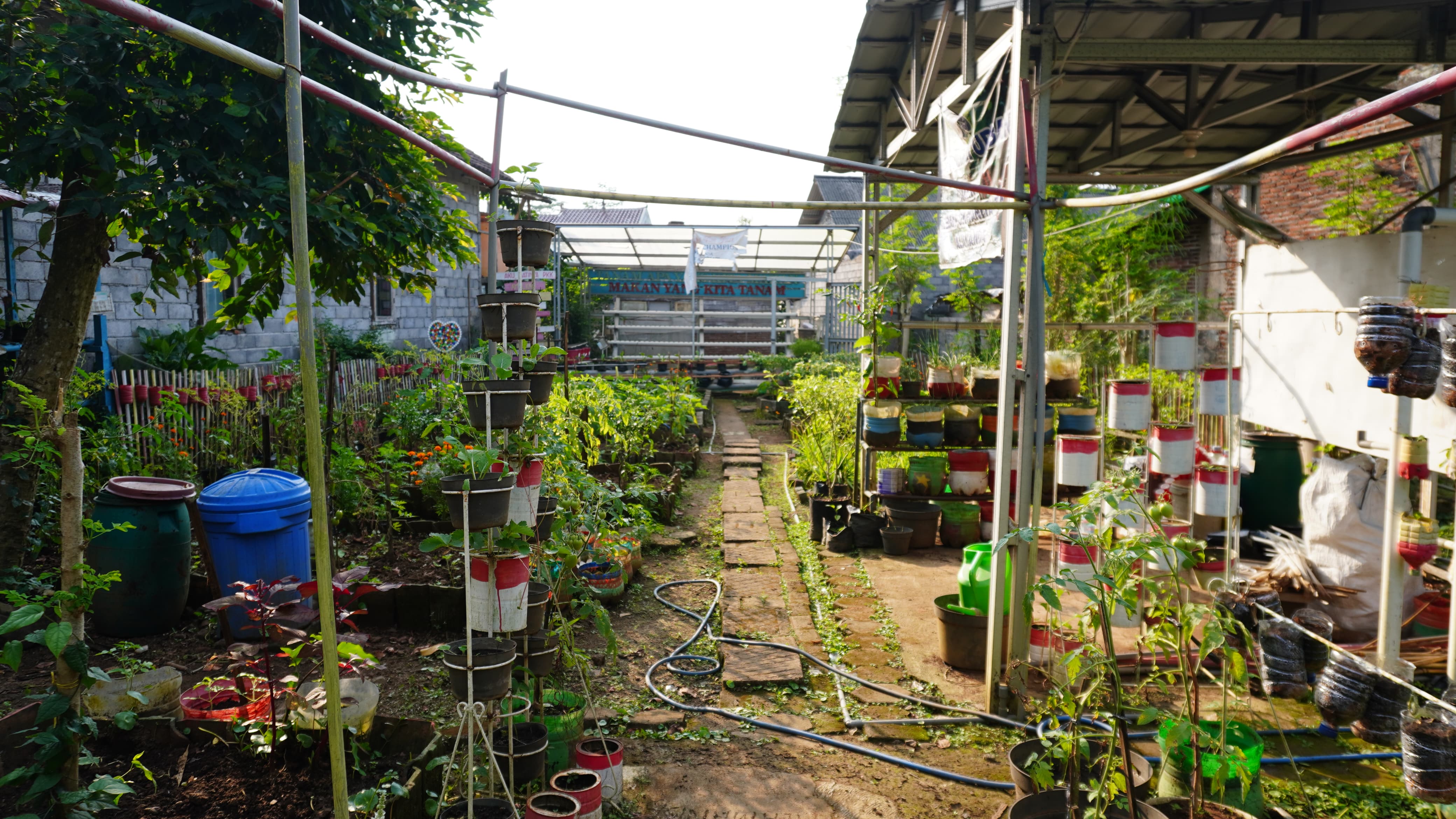 Taman KWT RT 01
